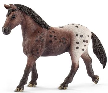 SHL13861 - Appaloosa Mare