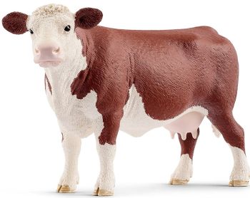 SHL13867 - Hereford Cow