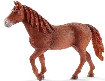 SHL13870 - Morgan Mare
