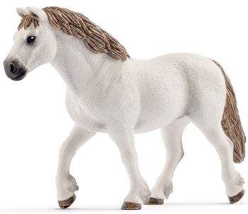 SHL13872 - Welsh Race Ponette
