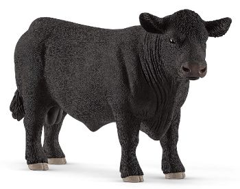 SHL13879 - bull angus
