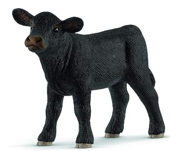 SHL13880 - veal angus