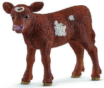 SHL13881 - Longhorn Texas Calf