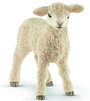 SHL13883 - Lamb