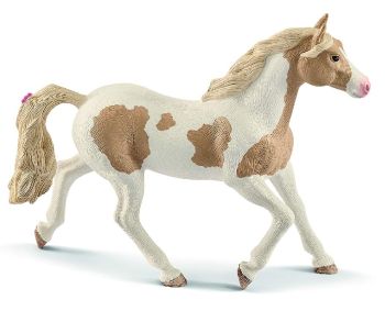 SHL13884 - Horse Paint Mare