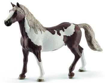 SHL13885 - Paint Horse Gelding