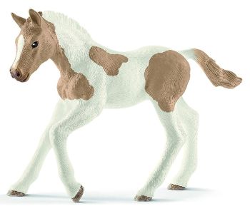 SHL13886 - Foal Paint Horse