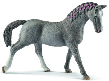 SHL13888 - Mare Trakehnen