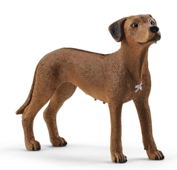 SHL13895 - Rhodesian crested dog - COMING SOON