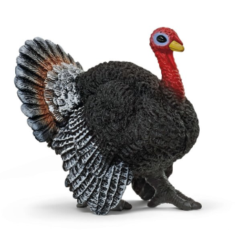 SHL13900 - Turkey