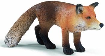 SHL14338 - Fox