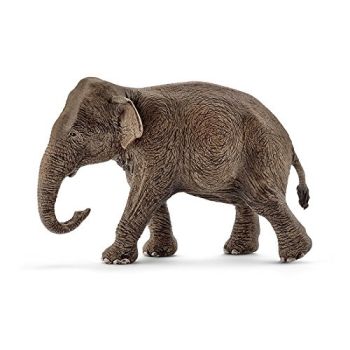 SHL14753 - Asian Elephant - Female