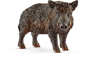 SHL14783 - Boar