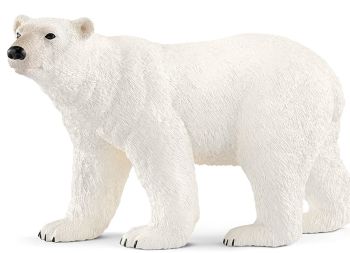 SHL14800 - Polar bear