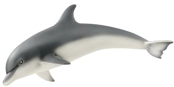 SHL14808 - Dolphin