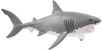 SHL14809 - White shark