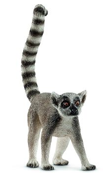 SHL14827 - lemur