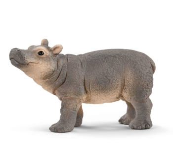 SHL14831 - Young Hippopotamus - COMING SOON