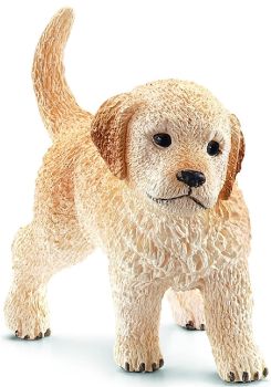SHL16396 - Golden Retriever puppy