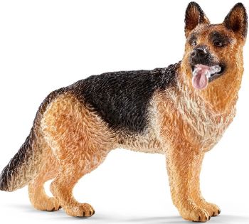 SHL16831 - German shepherd