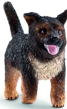 SHL16832 - German shepherd puppy