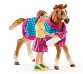 SHL42361 - Foal with blanket