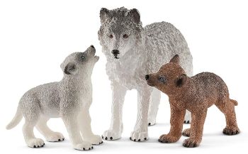SHL42472 - Wolf mom with cubs