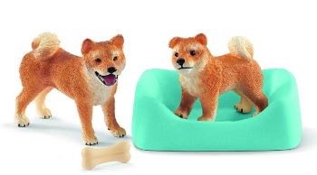 SHL42479 - mother and puppies shiba inu
