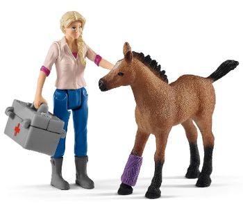 SHL42486 - Veterinarian's visit for Mare and Foal