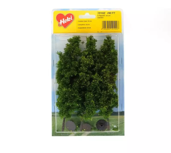 HEK19102 - 3 Poplar trees 18 cm