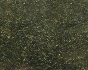 NOC08350 - Forest grass - 2.5 mm -20 g