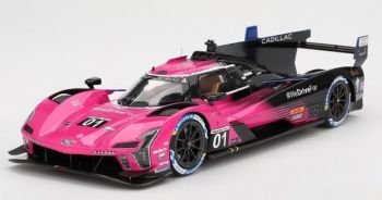 TS0611 - CADILLAC Series-V #1 Petit Le Mans 2024 S.BOURDAIS / R.VAN DER ZANDE / S.DIXON